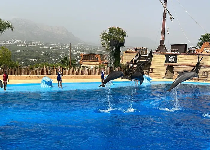 Apartamento My Flat In Rambla Alicante