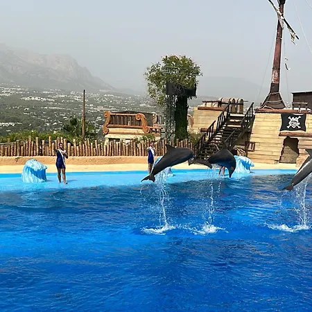 Lägenhet My Flat In Rambla Alicante